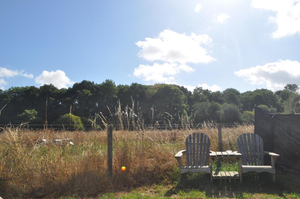 Buzzard Holt Hosting Hotel Buckingham Bagian luar foto